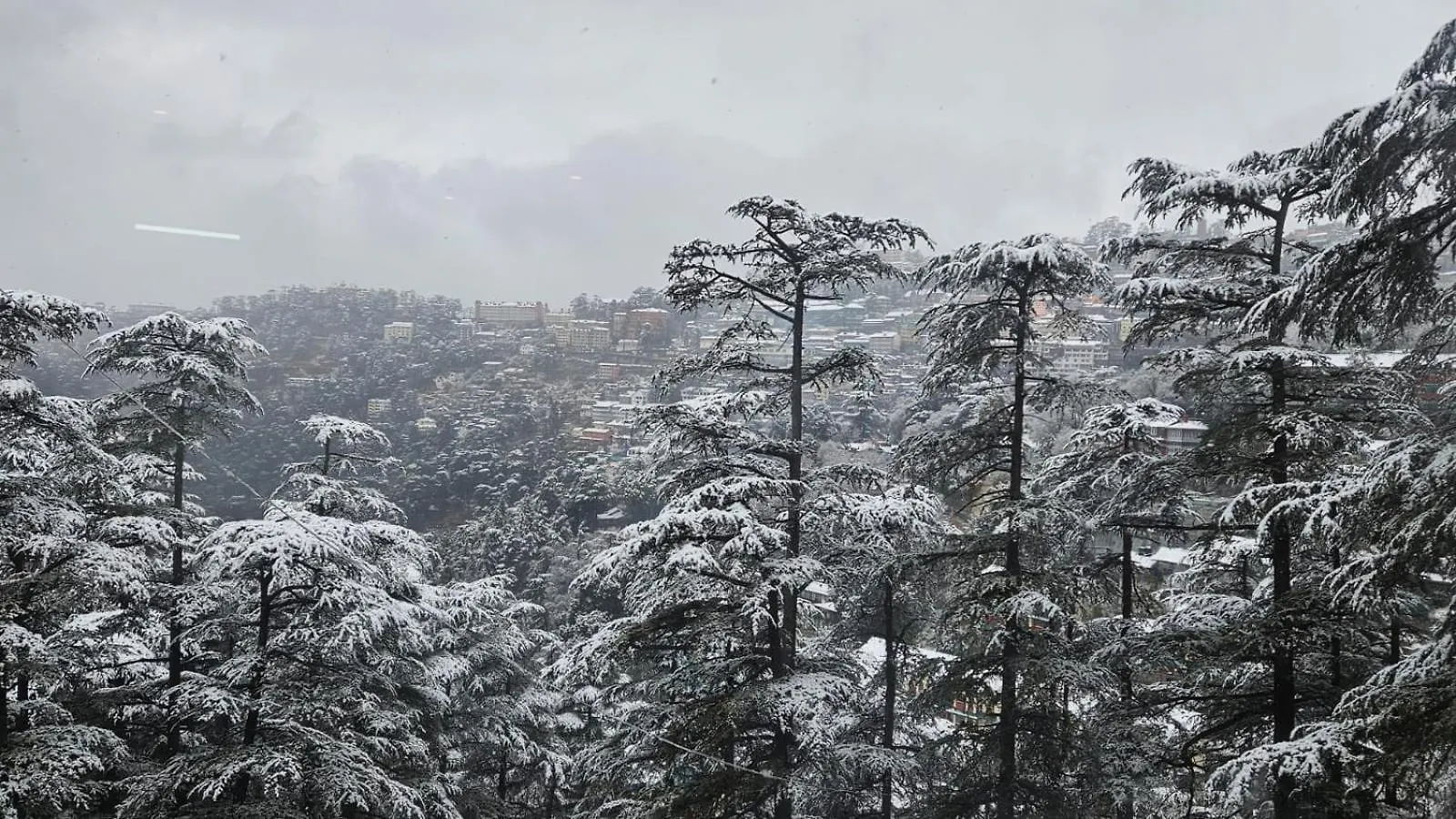 Hotel The Central Vista - Simla Royale Near Mall Road Free Pickup From Railway Station Simla